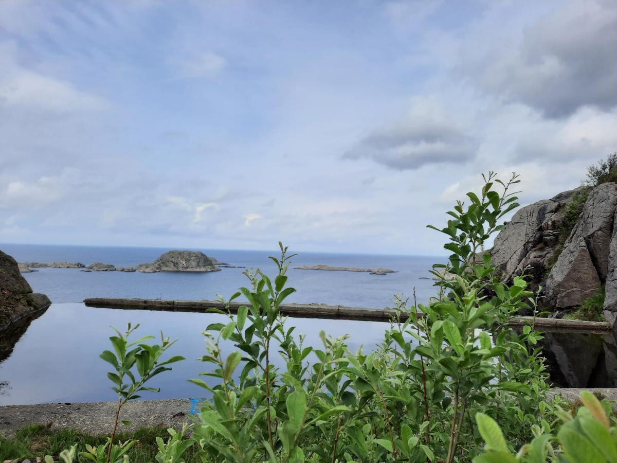 سوغندال Jossingfjord Bed & Breakfast المظهر الخارجي الصورة